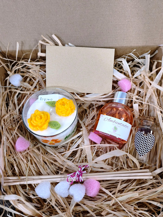 Kit Casa Perfumada Pepino